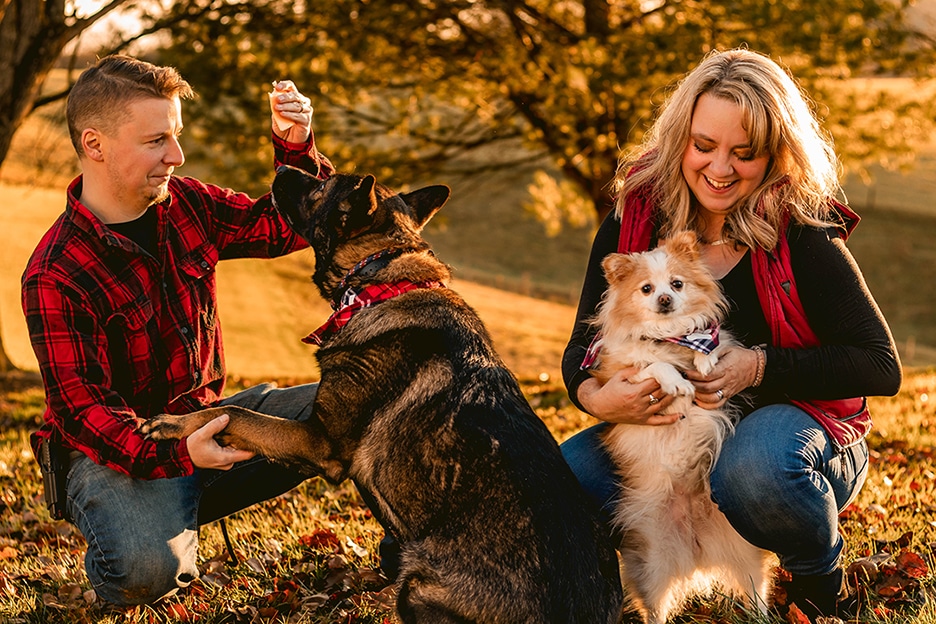 adoptive family play with dogs at home